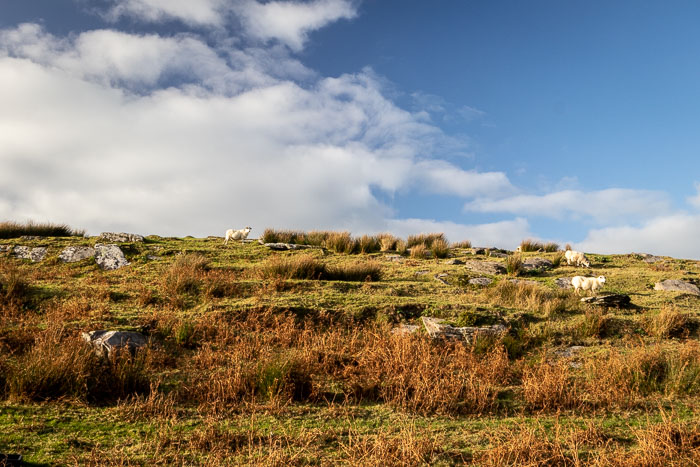 20181022-IMG_0348.jpg 20181022-IMG_0348.jpg