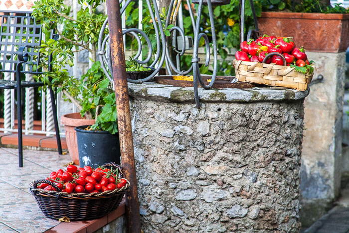 Harvest Time 20120930-IMG_0429.jpg