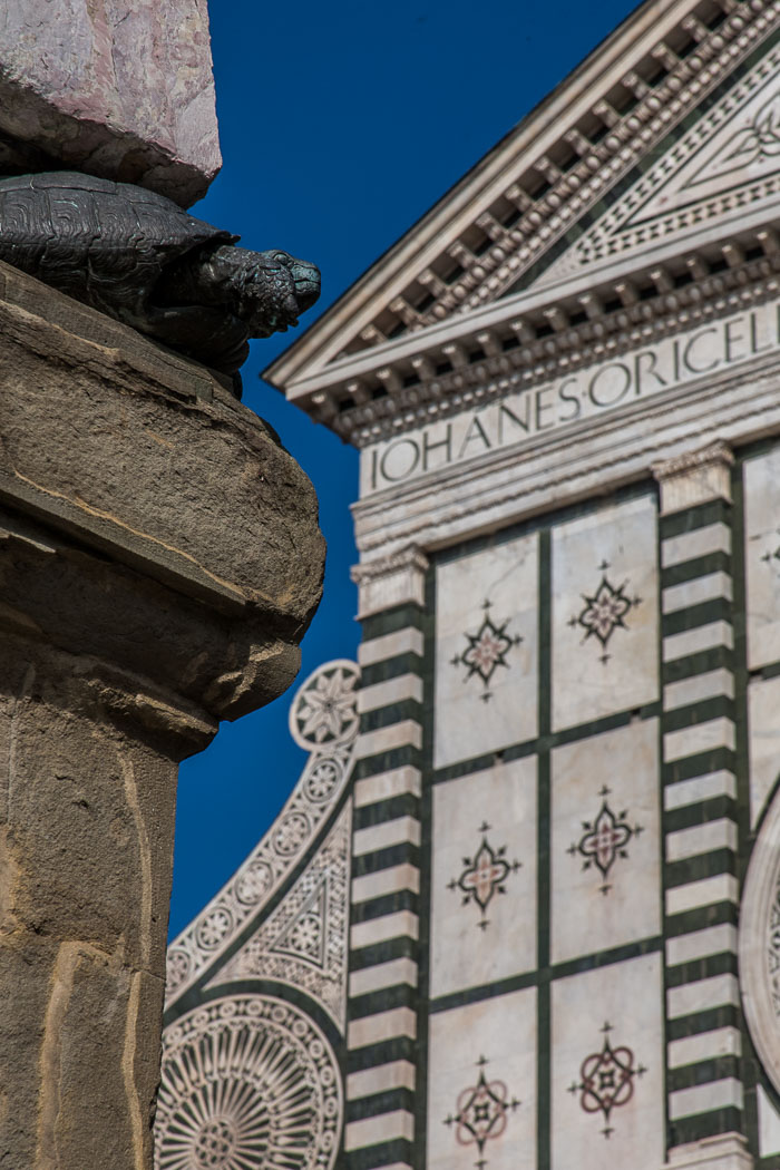 Turtles and Cathedrals 20121005-IMG_1934.jpg