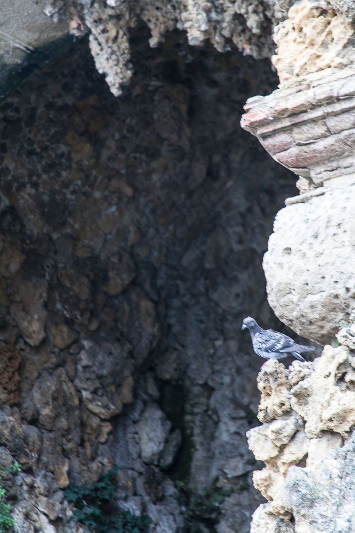 Cava ficcata (artificial caves) in Florence 20121005-IMG_2165.jpg
