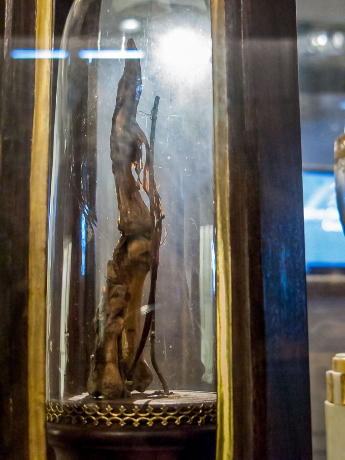 Galileo's right forefinger and thumb 20121004-IMG_1560.jpg