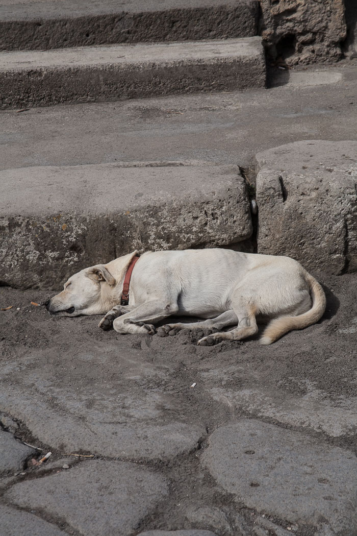 20120930-IMG_0085.jpg 20120930-IMG_0085.jpg