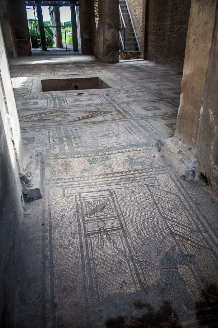 House of Menander 20120930-IMG_0110.jpg