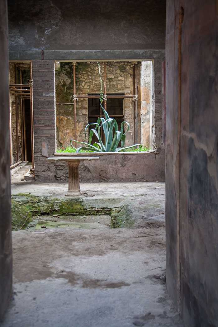 House of Menander 20120930-IMG_0111.jpg