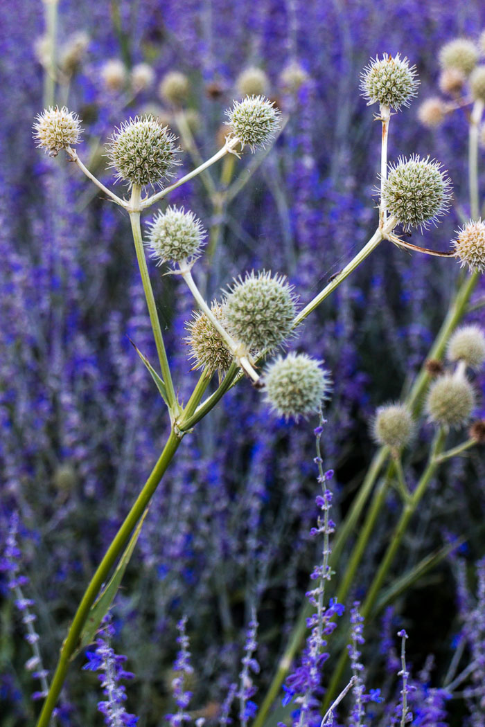 20140922-IMG_7587.jpg 20140922-IMG_7587.jpg