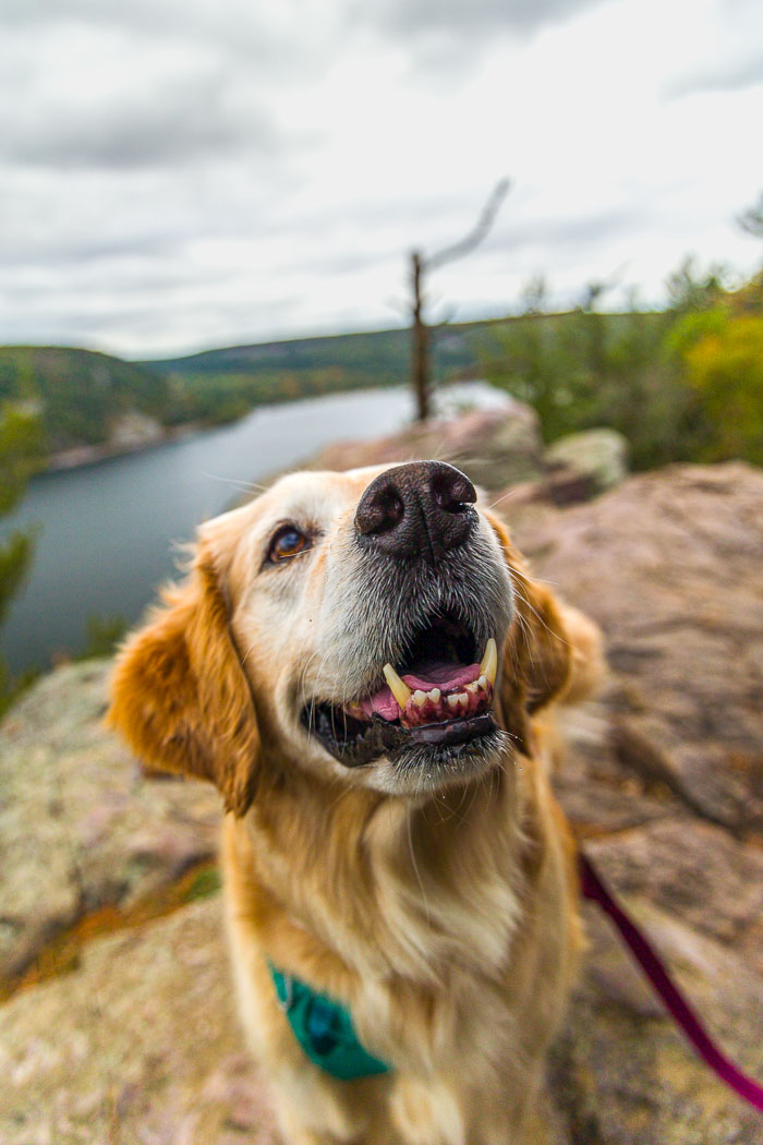 20231014-_MG_0252.jpg 20231014-_MG_0252.jpg