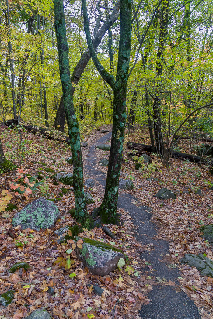 20231014-_MG_0263-HDR.jpg 20231014-_MG_0263-HDR.jpg