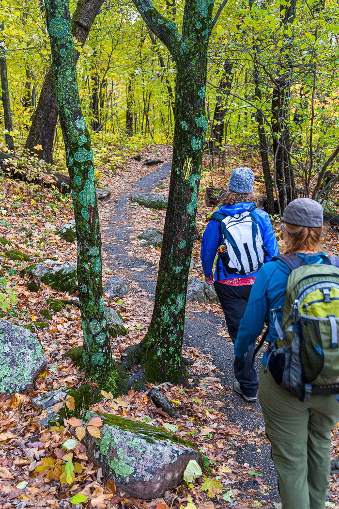 20231014-_MG_0266.jpg 20231014-_MG_0266.jpg