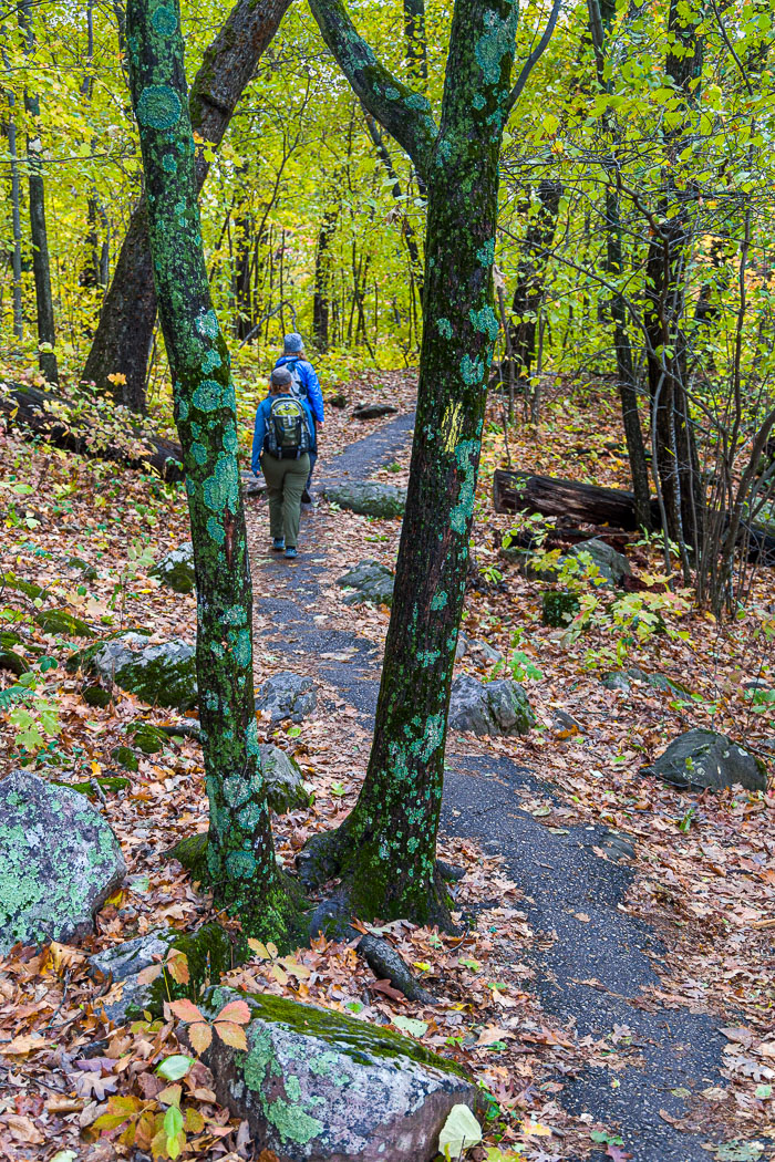 20231014-_MG_0278.jpg 20231014-_MG_0278.jpg