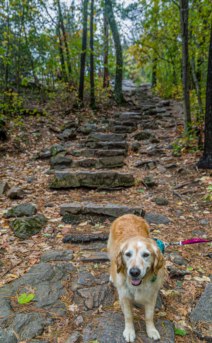 20231014-_MG_0290-HDR.jpg 20231014-_MG_0290-HDR.jpg