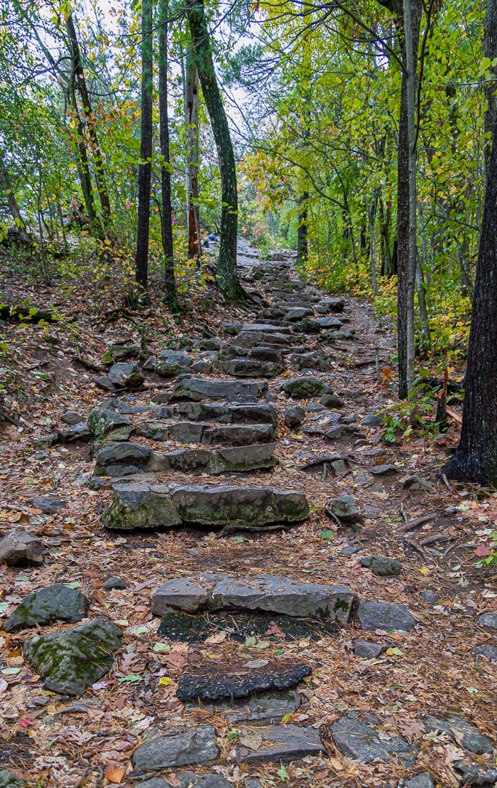 20231014-_MG_0293-HDR.jpg 20231014-_MG_0293-HDR.jpg