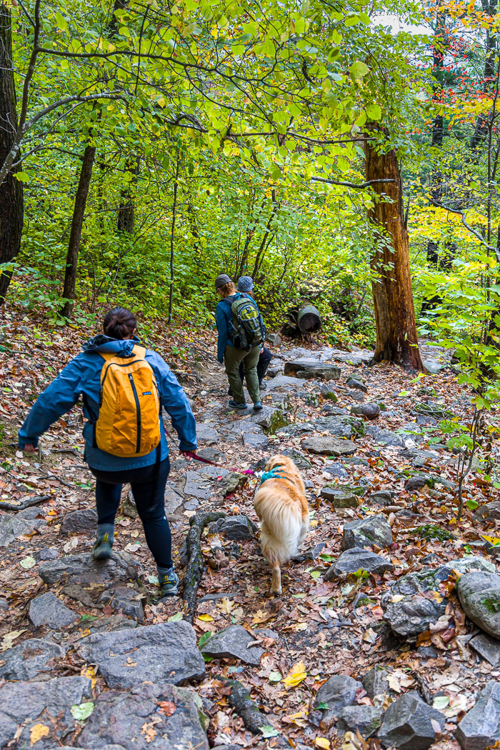 20231014-_MG_0296.jpg 20231014-_MG_0296.jpg