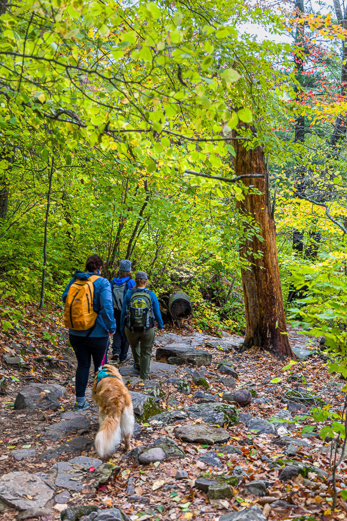 20231014-_MG_0299.jpg 20231014-_MG_0299.jpg