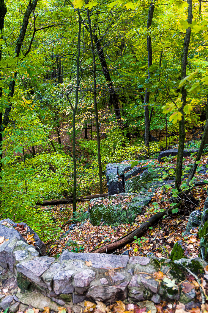 20231014-_MG_0305.jpg 20231014-_MG_0305.jpg