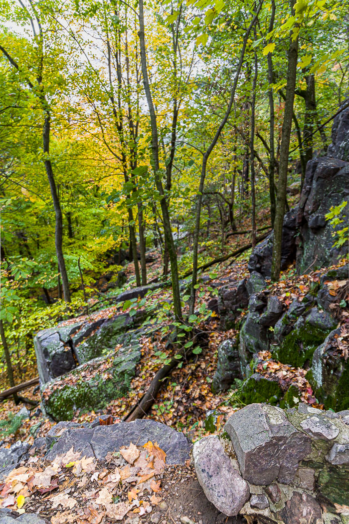 20231014-_MG_0308-HDR.jpg 20231014-_MG_0308-HDR.jpg