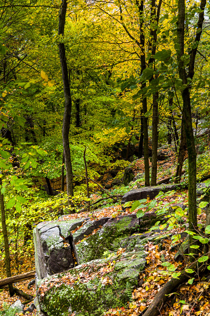 20231014-_MG_0311-HDR.jpg 20231014-_MG_0311-HDR.jpg