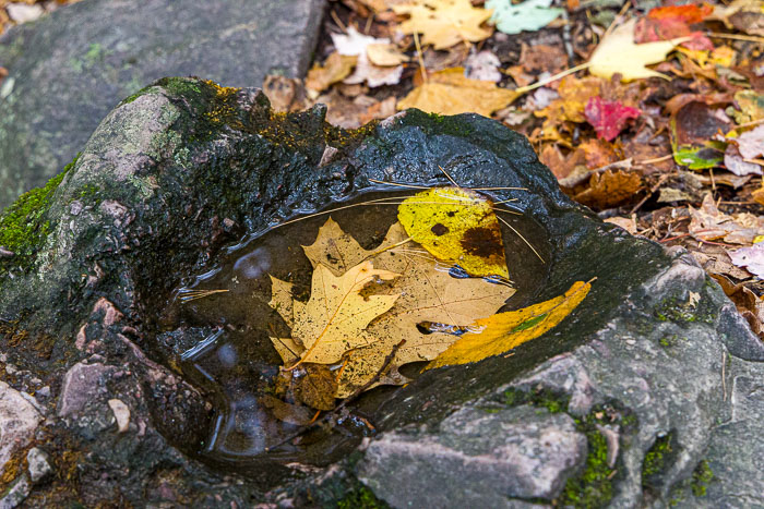 20231014-_MG_0319.jpg 20231014-_MG_0319.jpg