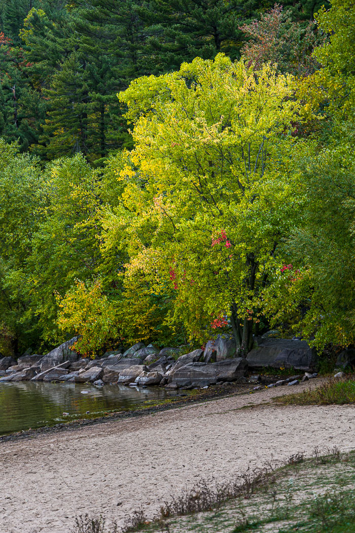 20231014-_MG_0368.jpg 20231014-_MG_0368.jpg