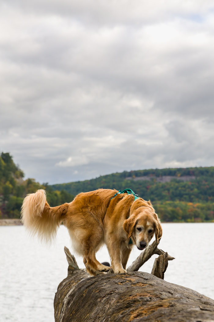 20231014-_MG_0374.jpg 20231014-_MG_0374.jpg