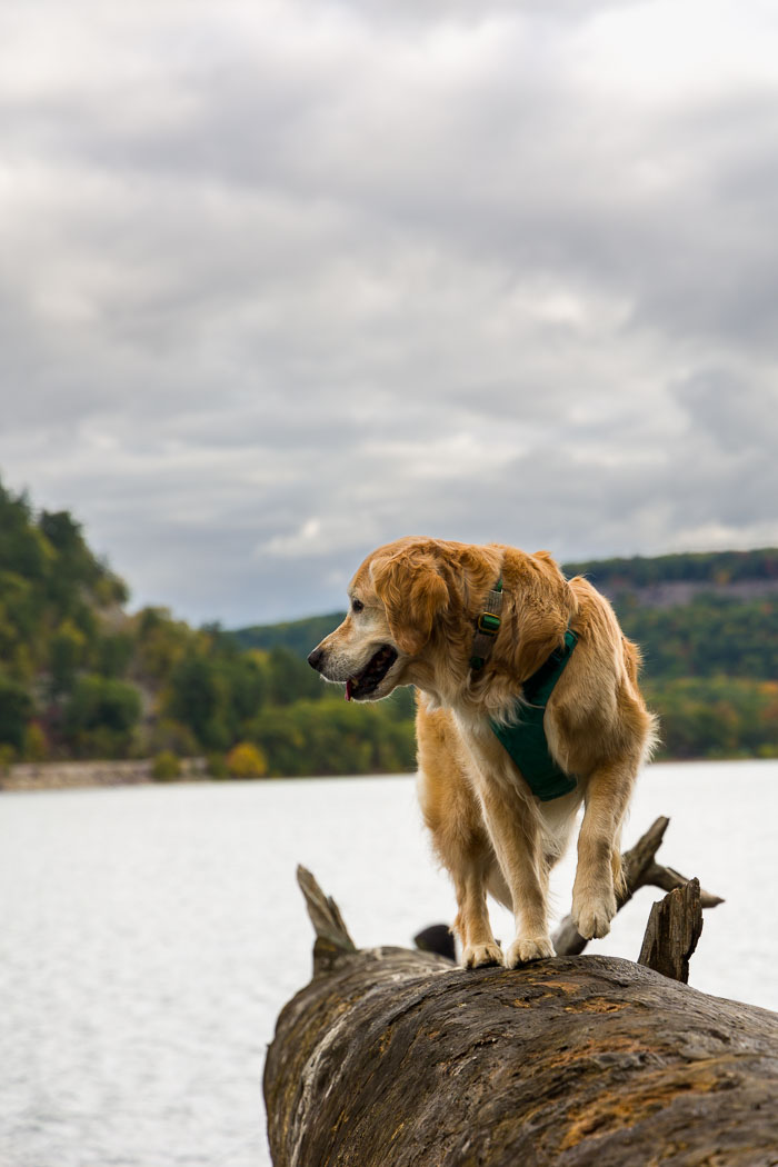 20231014-_MG_0379.jpg 20231014-_MG_0379.jpg