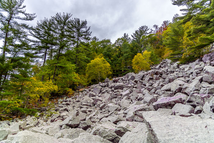 20231014-_MG_0434.jpg 20231014-_MG_0434.jpg