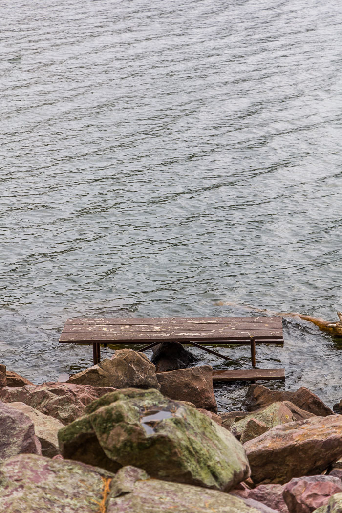 20231014-_MG_0437.jpg 20231014-_MG_0437.jpg