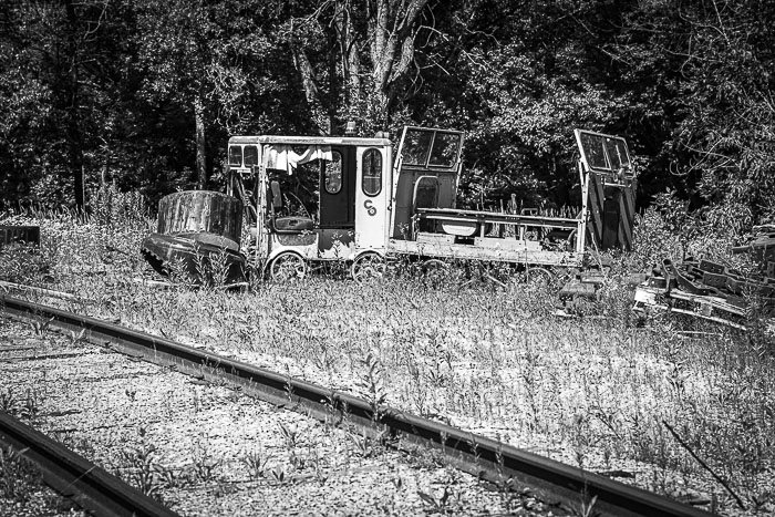_MG_9549.jpg _MG_9549.jpg