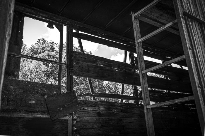 _MG_9555-HDR.jpg _MG_9555-HDR.jpg