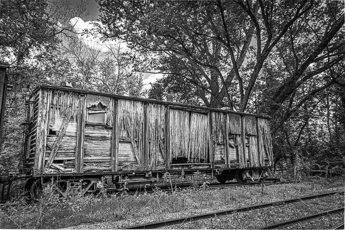 _MG_9639-HDR.jpg _MG_9639-HDR.jpg
