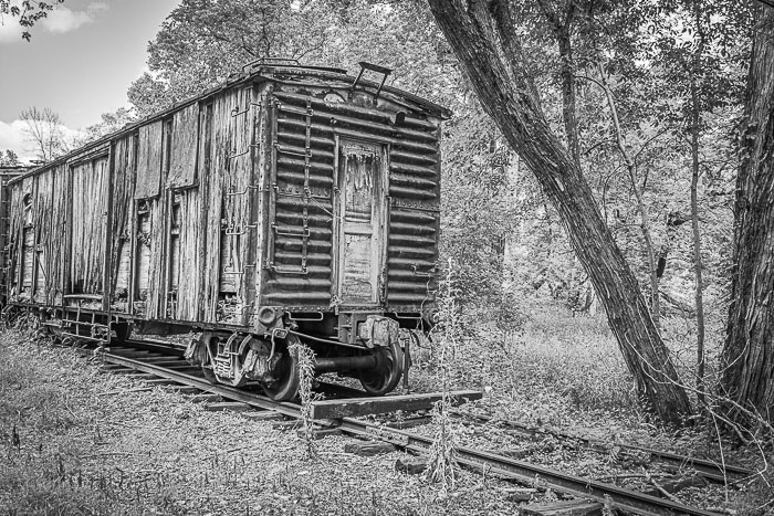 _MG_9649-HDR.jpg _MG_9649-HDR.jpg