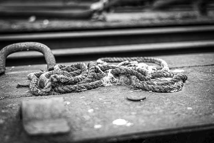 _MG_9673.jpg _MG_9673.jpg