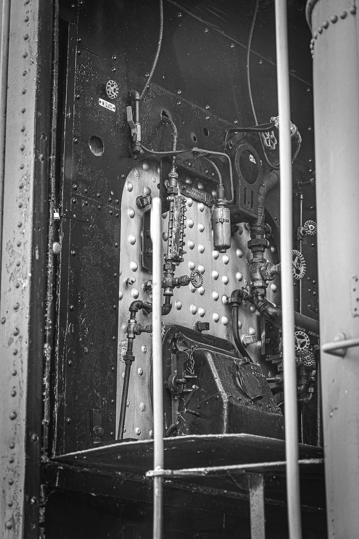 _MG_9769.jpg _MG_9769.jpg