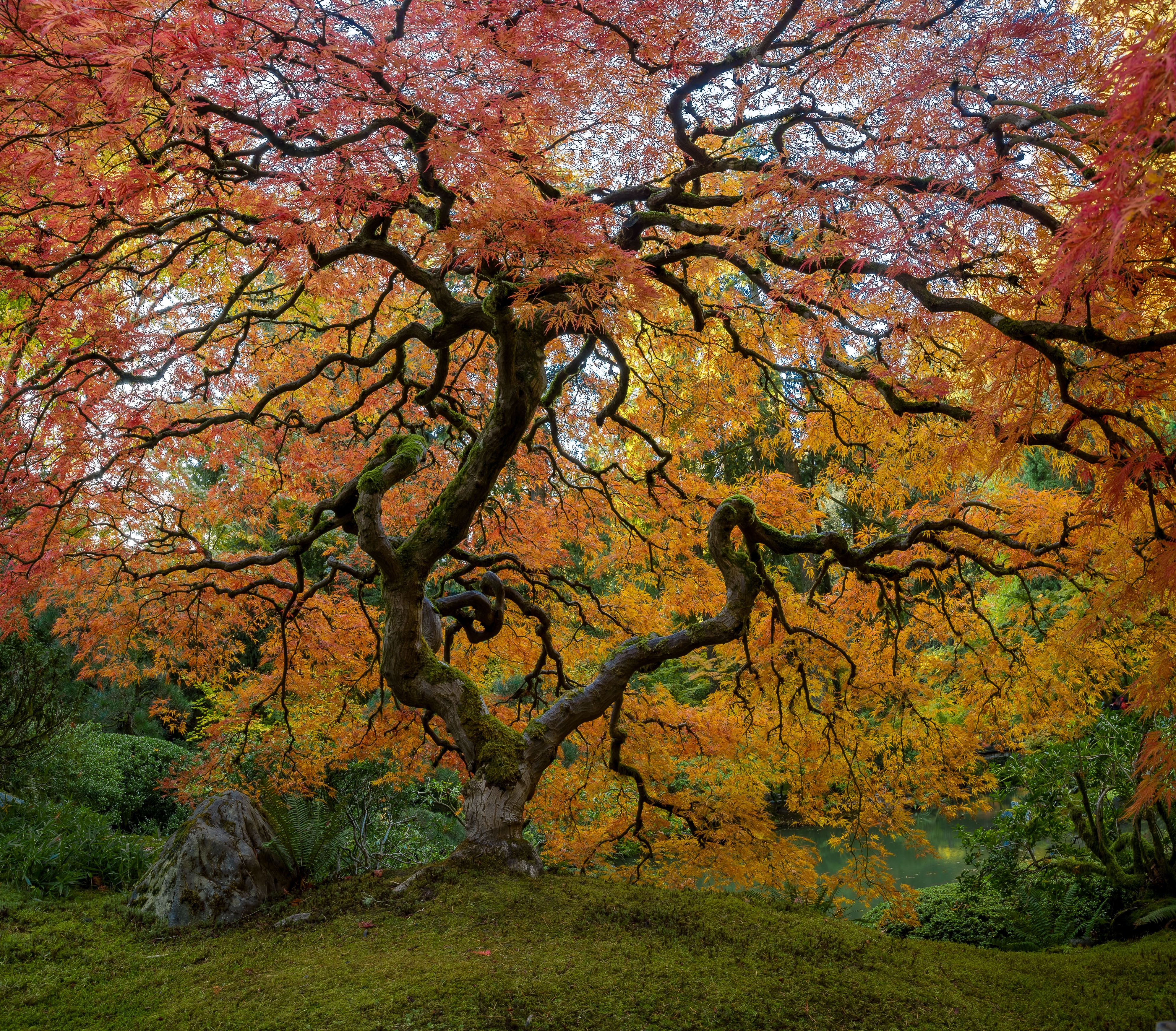 20221109-_MG_2780-HDR-Pano.jpg