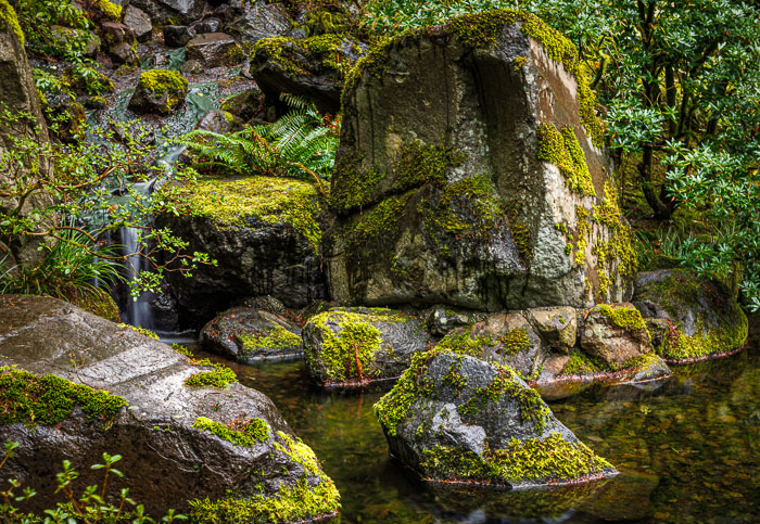 20220221-1I0A4586-Edit.jpg 20220221-1I0A4586-Edit.jpg