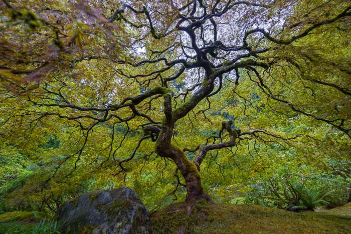 20221024-_MG_2239-HDR.jpg 20221024-_MG_2239-HDR.jpg