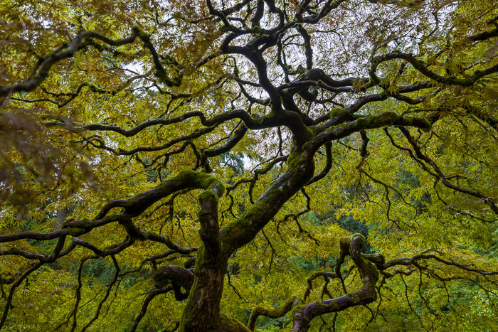 20221024-_MG_2240-HDR.jpg 20221024-_MG_2240-HDR.jpg