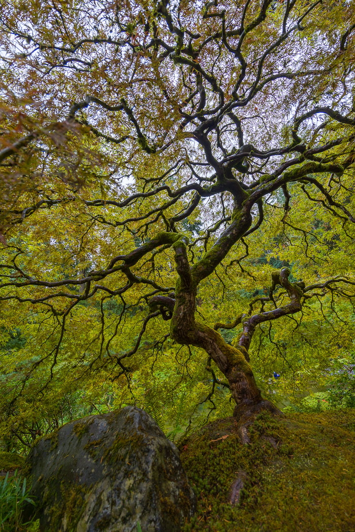 20221024-_MG_2243-HDR.jpg 20221024-_MG_2243-HDR.jpg