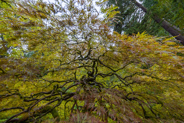 20221024-_MG_2246-HDR.jpg 20221024-_MG_2246-HDR.jpg