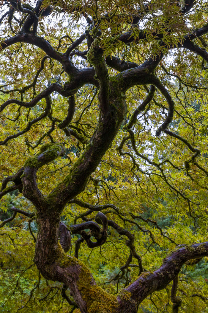 20221024-_MG_2276-HDR.jpg 20221024-_MG_2276-HDR.jpg