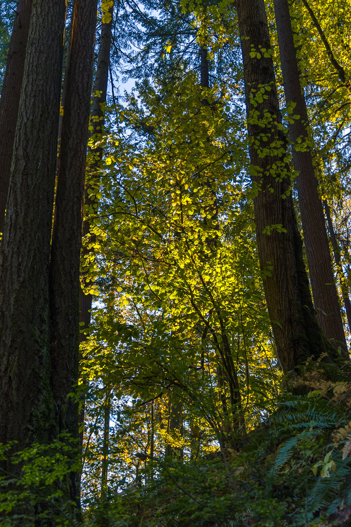20221109-_MG_2638-HDR.jpg 20221109-_MG_2638-HDR.jpg