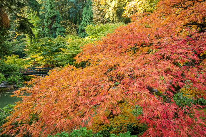 20221109-_MG_2664-HDR.jpg 20221109-_MG_2664-HDR.jpg