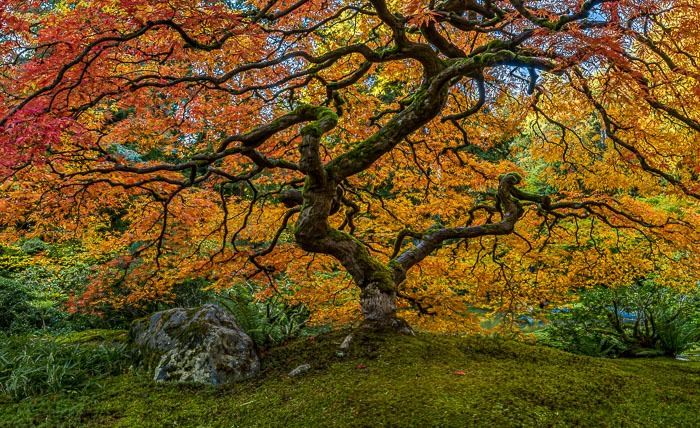 20221109-_MG_2700-HDR-Edit.jpg 20221109-_MG_2700-HDR-Edit.jpg