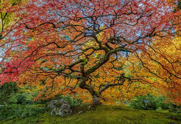 20221109-_MG_2700-HDR-Edit_v1.jpg 20221109-_MG_2700-HDR-Edit_v1.jpg