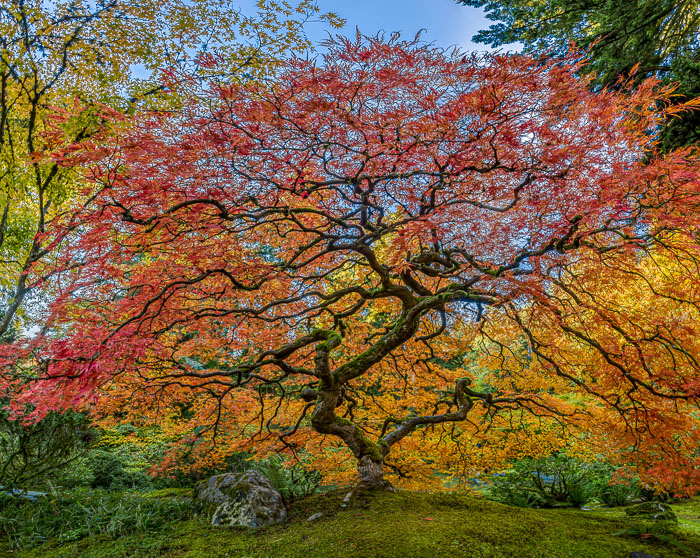 20221109-_MG_2700-HDR-Edit_v2.jpg 20221109-_MG_2700-HDR-Edit_v2.jpg