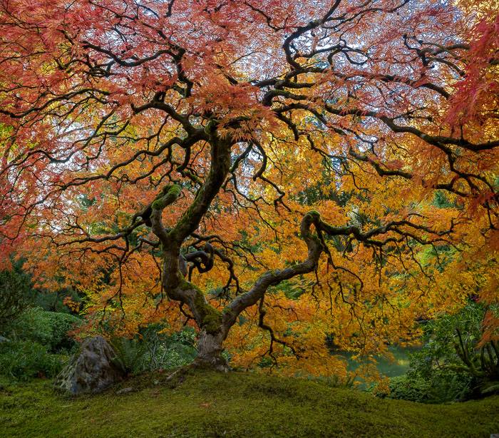 20221109-_MG_2780-HDR-Pano.jpg 20221109-_MG_2780-HDR-Pano.jpg