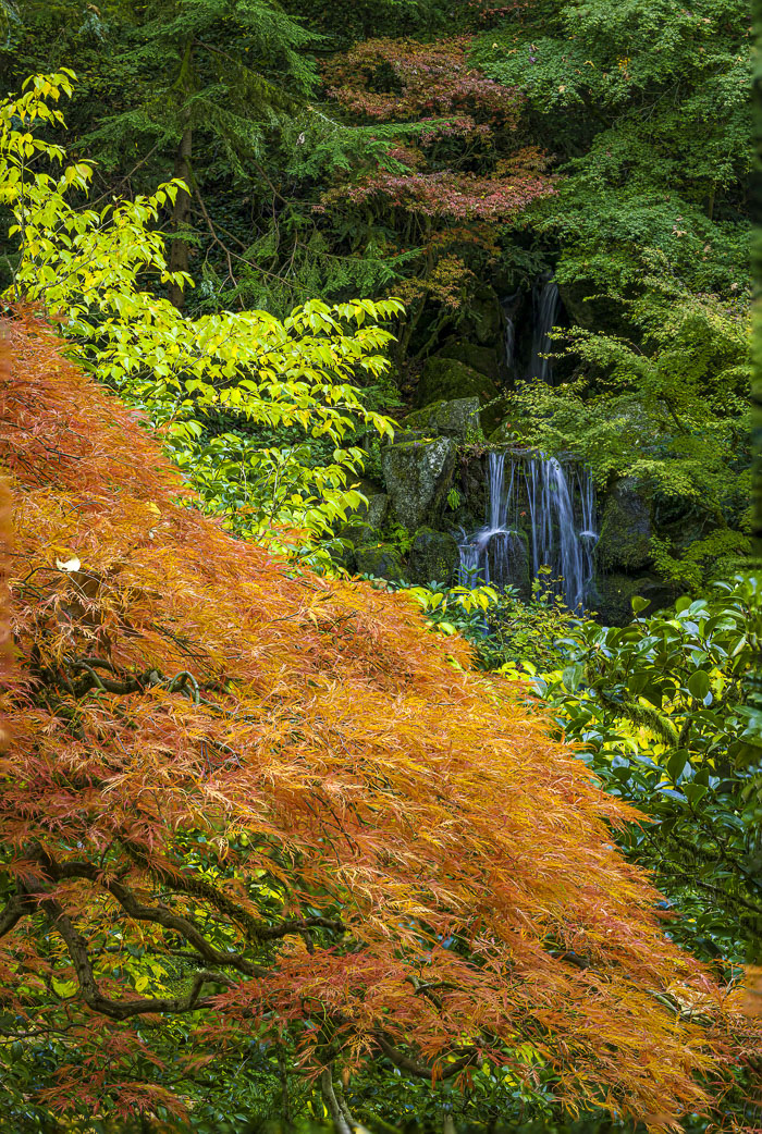 20221109-_MG_3001-Edit.jpg 20221109-_MG_3001-Edit.jpg