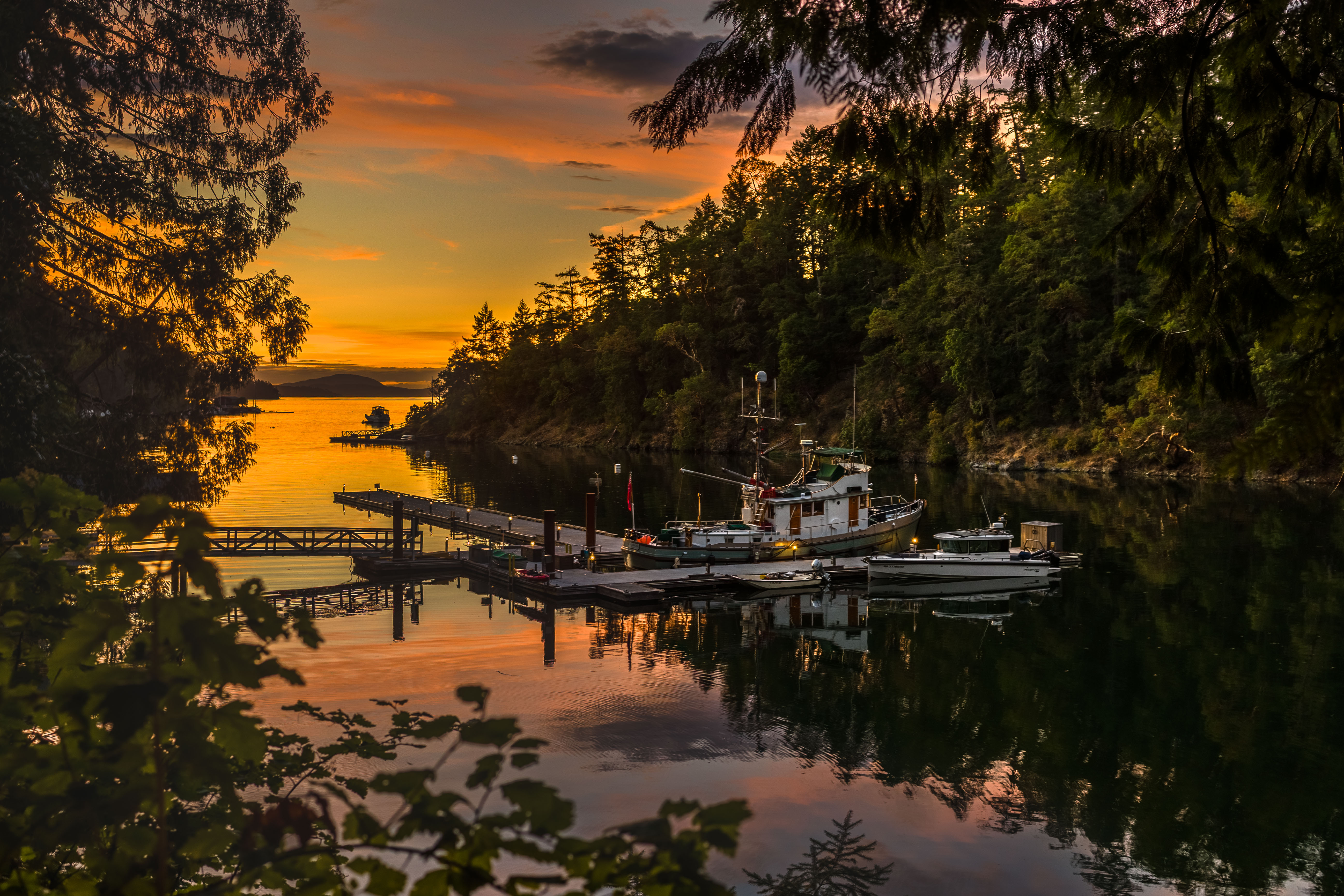 20250711-20250711-_MG_7284-HDR.jpg