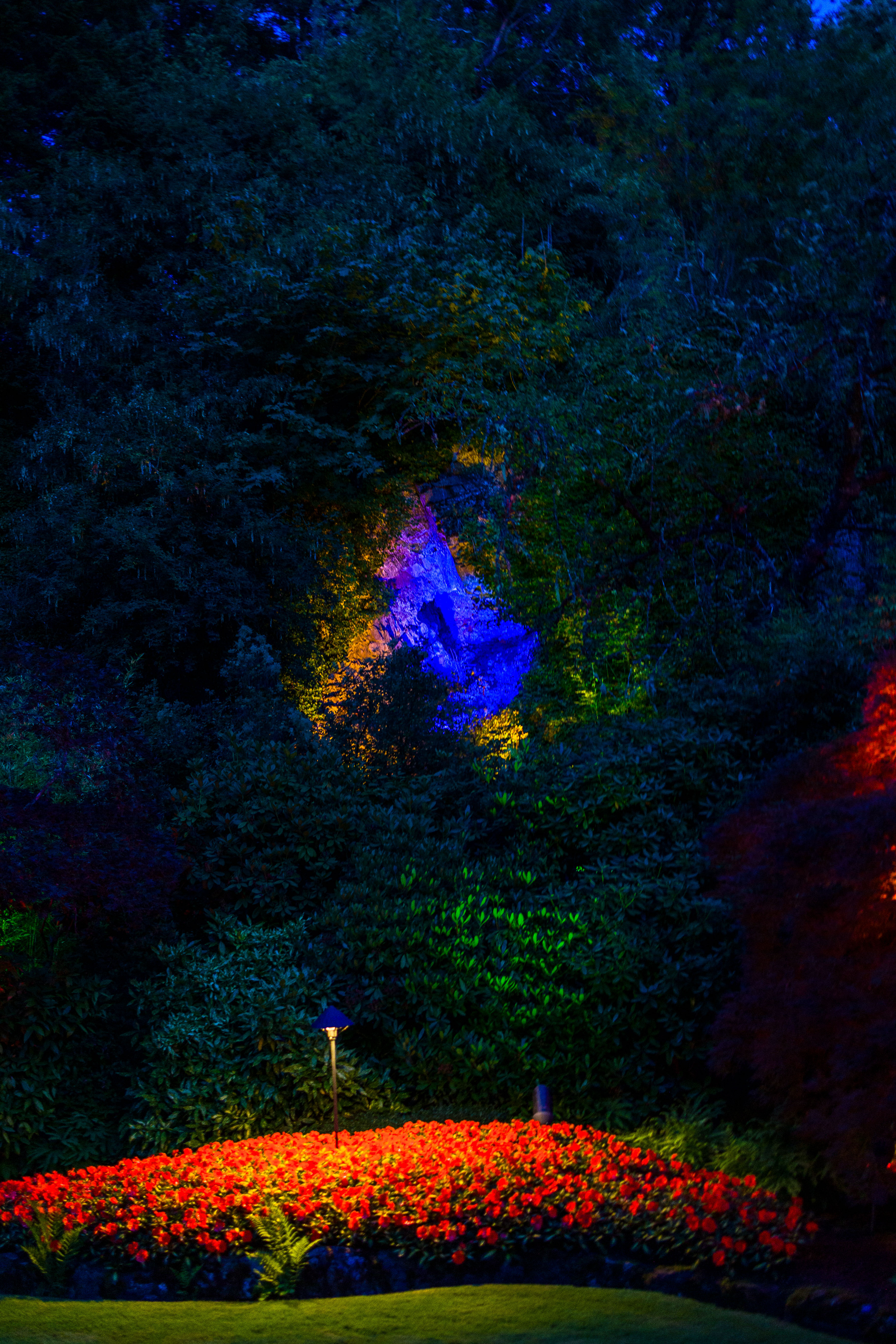 20250711-20250711-_MG_7340.jpg