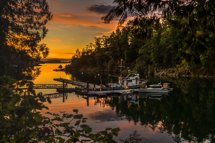 20250711-20250711-_MG_7284-HDR.jpg