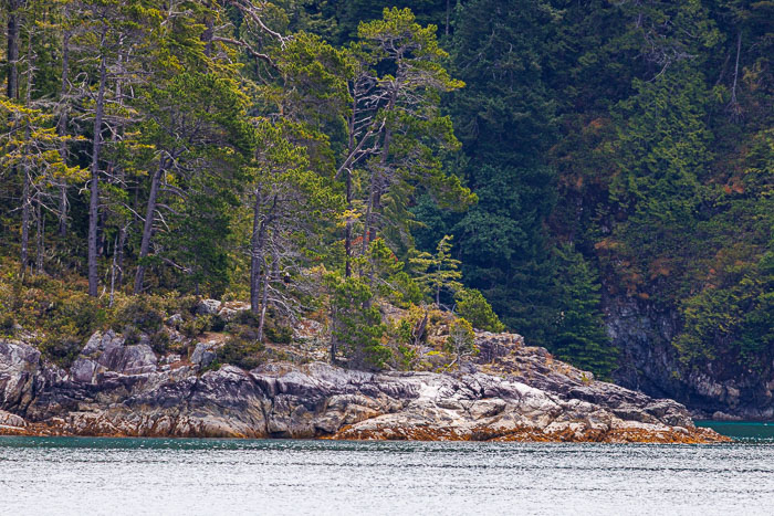 20250705-20250705-IMG_3818.jpg 20250705-20250705-IMG_3818.jpg